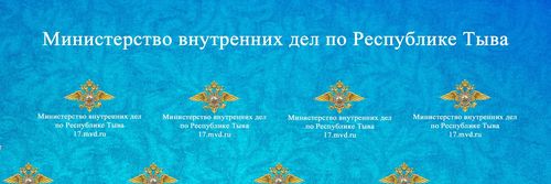 Тываның полициязында интернет таварыштыр барааннар чагыдары-биле холбашкан мөлчүкчү хөделиишкиннерниң ээлчеглиг барымдаазы бүрүткеттинген