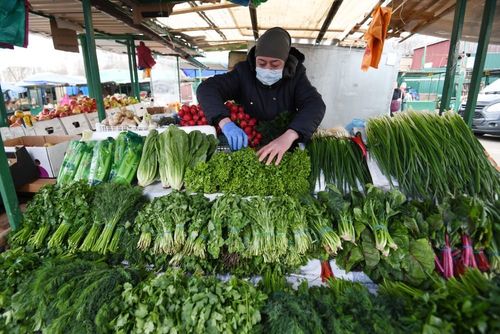 Билип алыры артык эвес