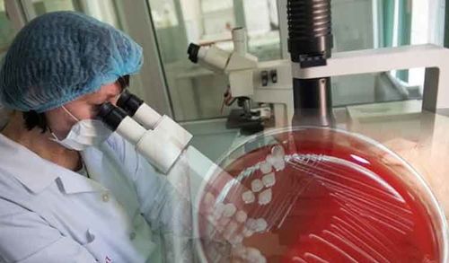 СИБИРЬ ЯЗВАЗЫНЫҢ ДУГАЙЫНДА ЧҮНҮ БИЛЗЕ ЧОГУУРУЛ