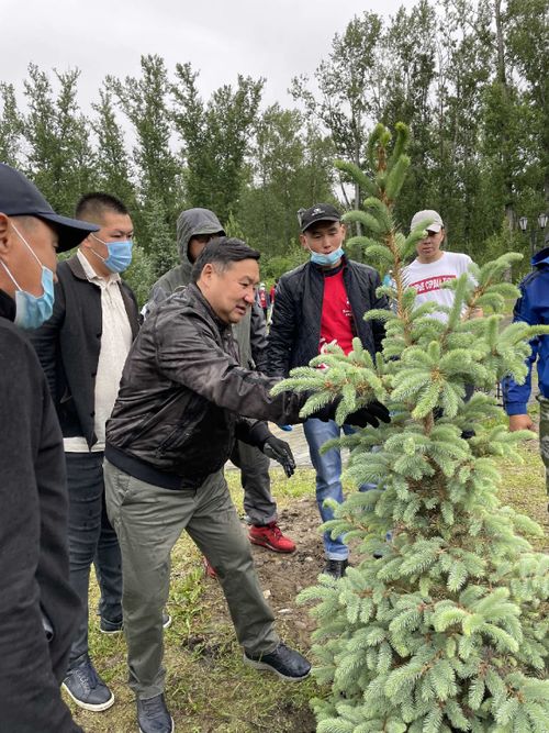 Тываның аныяктары Владислав Ховалыг-биле