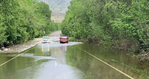 ДӨРТ КОЖУУНДА ОНЗА БАЙДАЛДАР ТУРГУСТУНГАН