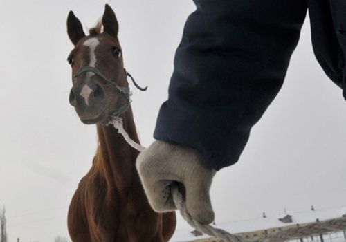 ООРНУҢ ОРУУ МУҢГАШ