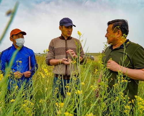ТАҢДЫНЫҢ КӨДЭЭ ИШЧИЛЕРИ БОЛГАШ БИЛЛ ГЕЙТС