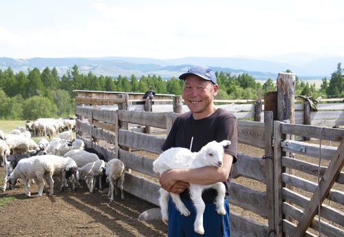 УЛУГ-ХЕМНИҢ ТАРААЖЫ, НОГААЖЫЛАРЫ