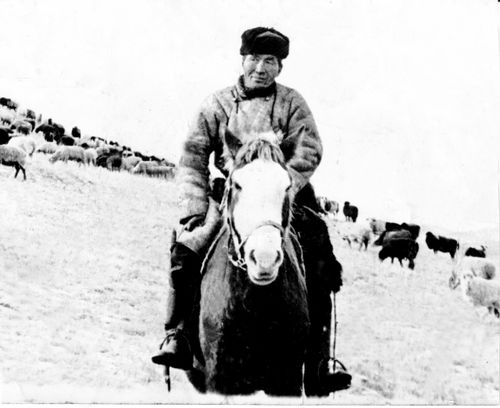 ӨГБЕЛЕРИВИСТИ САКТЫП, МӨГЕЙДИВИС