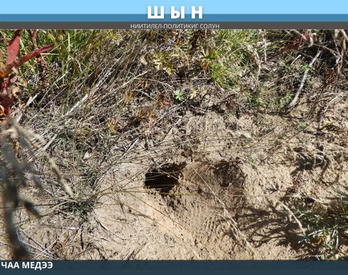 ХЭЭКЧИЛЕР БУРУУЛУГ ДЭЭРЗИН “АРГА-АРЫГ ЭМЧИЛЕРИ” ТОДАРАТКАН