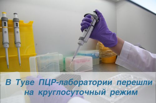 ЛАБОРАТОРИЯЛАР ХОНДУР АЖЫЛДААР РЕЖИМЧЕ КИРГЕН