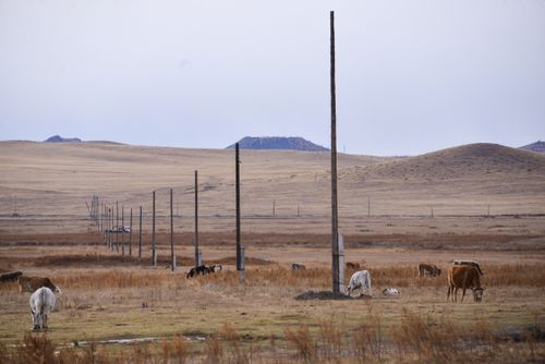 Демниг сааскан...