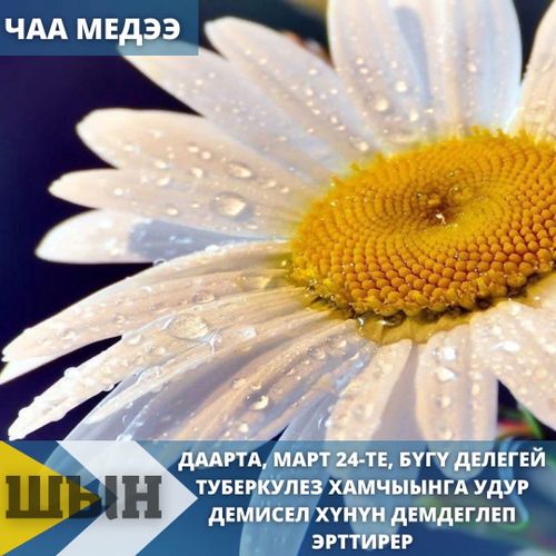 Даарта, март 24-те, бүгү делегей туберкулез хамчыынга удур демисел хүнүн демдеглеп эрттирер.