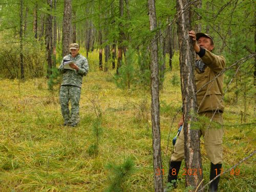 ҮЗҮТ-ХОВАГАН, ТОРГУ ХОВАГАНЫ– АРГА-ЫЯШТЫӉ ХОРАГДАКЧЫЗЫ