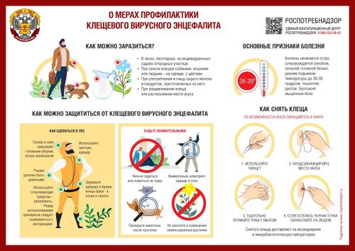 Саргы болгаш профилактиктиг хемчеглер