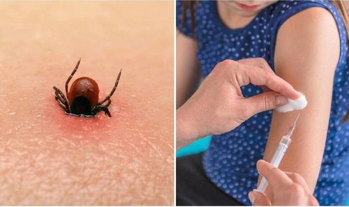 Саргыдан оваарныры чугула