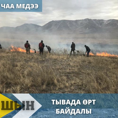 Баштайгы “медээчилер”