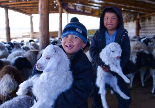 Баян-Дугайда аал