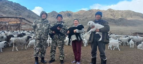 Малчыннар амыдыралындан чурумал