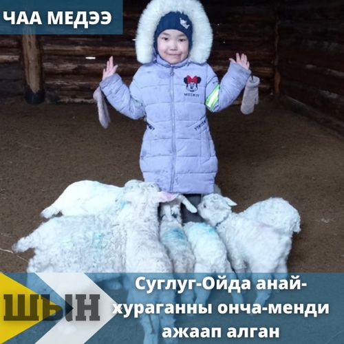 Суглуг-Ойда анай-хураганны онча-менди ажаап алган