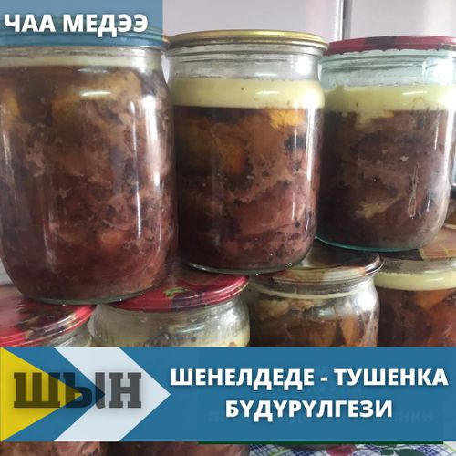 Шенелдеде - тушенка бүдүрүлгези