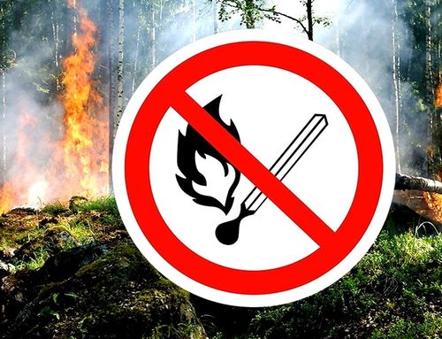 Бойдус камгалалы – кижи бүрүзүнүӊ херээ