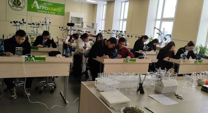 Өзүмнерни олурткан