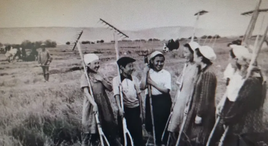 Төөгү календары