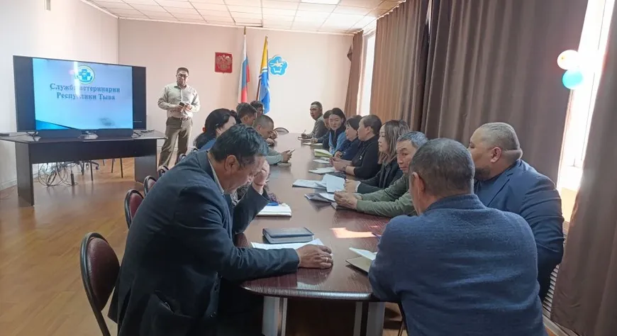 Чеже тояанчы ыттар илерээнил?