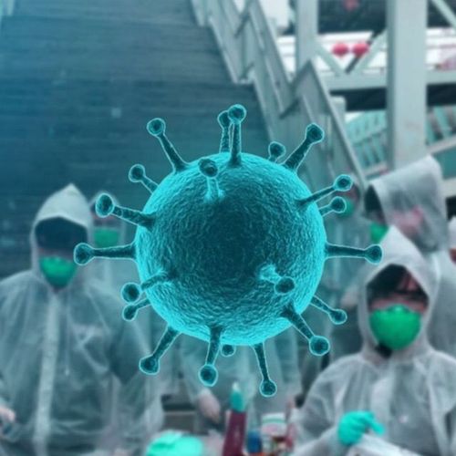 БО ЧЫЛ ЭГЕЗИНДЕН ТУРА ТЫВАДА 178 КИЖИ ХАМЧЫКТЫГ ААРЫГДАН ЧОК БОЛГАН