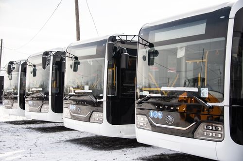 Аргыжылганың шынары экижиир