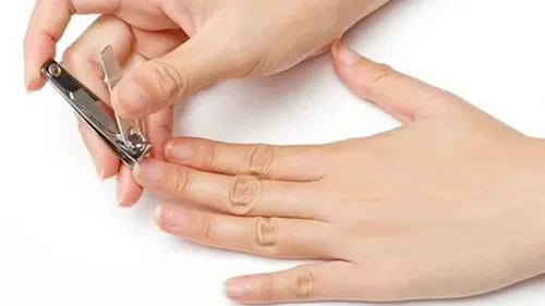 Тыва ёзу-чаңчылдар