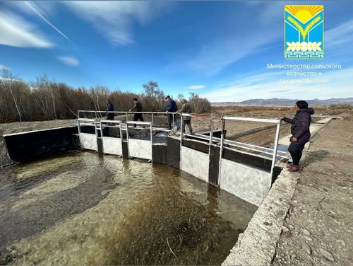 Суггарылга – бедик дүжүттүң магадылалы