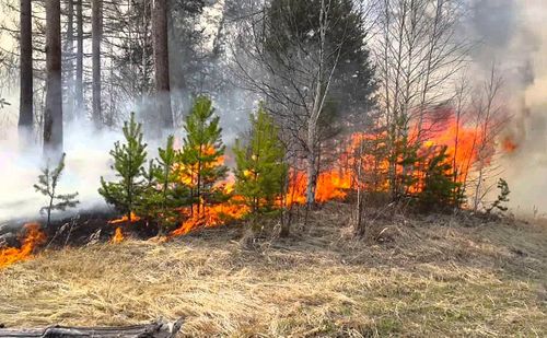 Тывада өртке удур онза чурумну узаткан