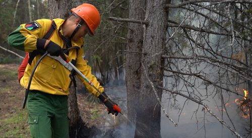 Онза байдал чурумун чарлаан
