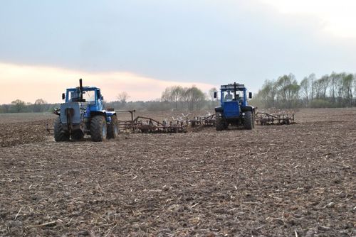 Часкы ажылдар эгелээн