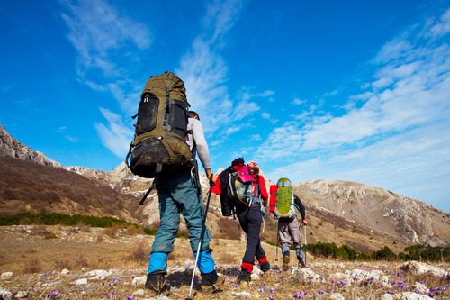 Төрээн кожуунунга туризмни сайзырадыр дээш
