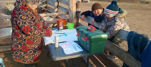 Тарып боозадыры