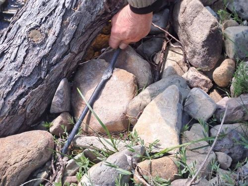 Үремикчиниӊ хайында интернет өшкен