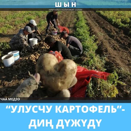 “УЛУСЧУ КАРТОФЕЛЬ”-ДИҢ ДҮЖҮДҮ