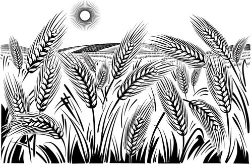 Тараа(Тоожудан үзүндү)